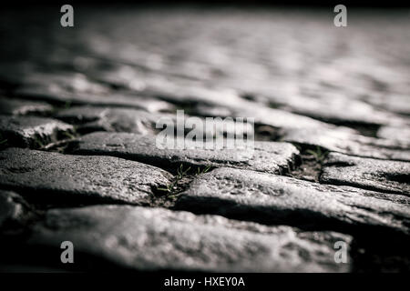 Waregem, Belgium. 22nd March, 2017. Detail of cobbles (Herlegemstraat) during the 2017 Dwars Door Vlaanderen one day cycle race. Stock Photo