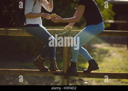 Friends sitting on fence and using mobile phone in farmland on a sunny day Stock Photo