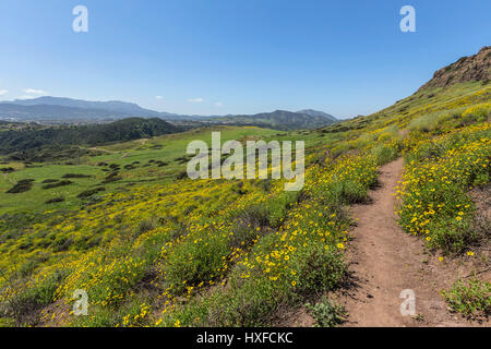 Green hillside view of Wildwood Regional Park in the Ventura County community of Thousand Oaks, California. Stock Photo