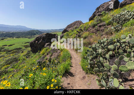 Green hillside trail in Wildwood Regional Park in the Thousand Oaks community of Ventura County, California. Stock Photo
