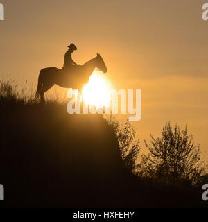 Silhouette of a guy sitting astride a horse over the edge of a cliff in the rays of the sun. Summer Stock Photo