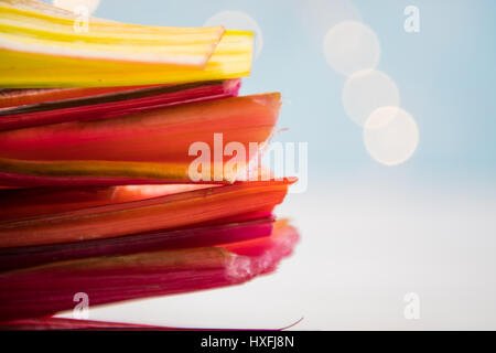 Side View of Rainbow Chard Stems with Light Blue Bokeh Background and copy space to right Stock Photo