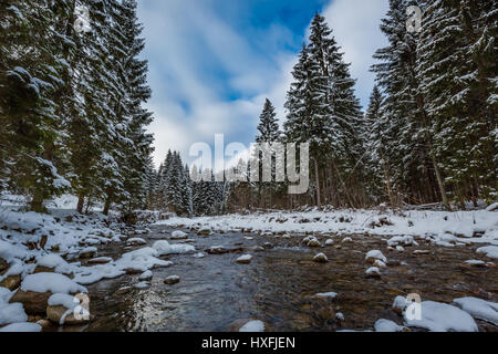 Mountain river with forest covered by snow, Tatra Mountains, Poland Stock Photo