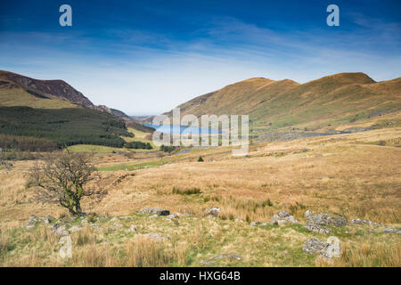 NORTH WALES, UK - MARCH 2017 - A VIEW OF THE BEDDGELERT AND RHYD-DDU VALLEY IN NORTH WALES WITH LAKES AND A TREE IN THE FOREGROUND Stock Photo