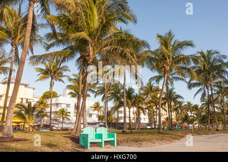 Park with coconut palm trees in Miami Beach. Florida, United States Stock Photo