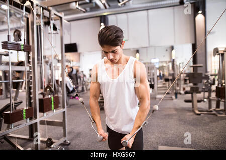 Young hispanic muscular body builder working out in gym on a cable machine, doing cable fly exercise for better definition of his arm muscles. Stock Photo