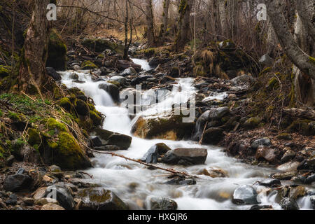 Mountain small river flowing in the wood among moss-grown stones Stock Photo