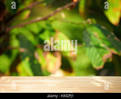 Wooden table on green garden background. Space on table with summer light bokeh Stock Photo