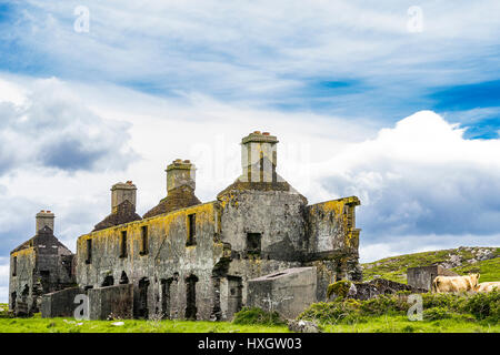 ruin nearby Ballinskelligs, Iveragh peninsula, County Kerry, Ireland Stock Photo