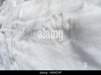 Human hand prints on the white snow wall Stock Photo