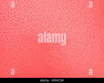 Rain water drop on red leather background Stock Photo