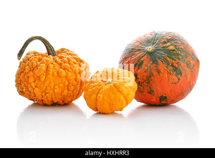 Mini pumpkins isolated on a white background with reflection Stock Photo