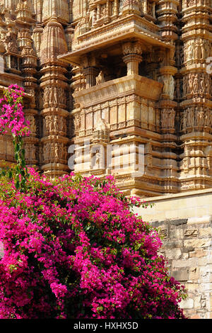 Bougainvillea At Khajuraho Temple Complex Stock Photo - Alamy