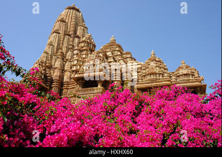 Bougainvillea At Khajuraho Temple Complex Stock Photo - Alamy