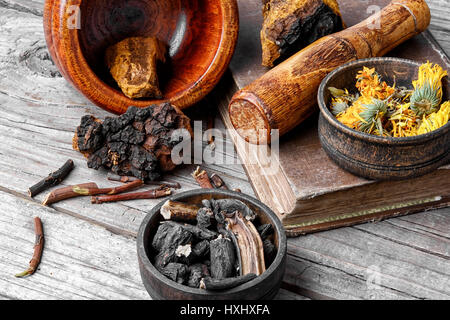 Medicinal herbs of folk medicine comfrey,birch mushroom and calendula Stock Photo