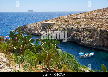 Wied Zurrieq Fjord, MALTA - JULY 24, 2015:  Cactus Opuntia over water of Wied Zurrieq Fjord on south end of Malta island Stock Photo