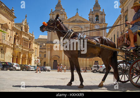 MDINA, MALTA - JULY 29, 2015: The Tourist horse carriage on the St Paul's Square in front of St Paul's Cathedral, Mdina, Malta. Stock Photo