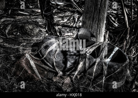 Old ripped boot Stock Photo