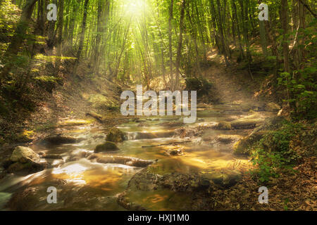 Fairy mountain forest at the river with colorful sun rays in spring morning. Fantastic landscape with trees, green leaves, stones and blurred water at Stock Photo