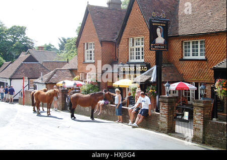 New Forest Ponies in the village of Burley, Hampshire, England Stock Photo