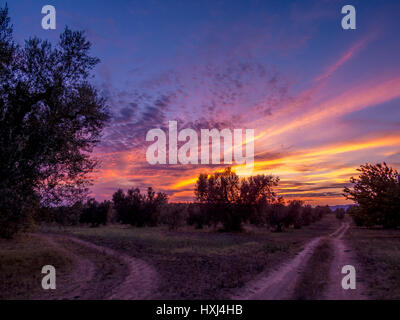 Amazing sunset in countryside Stock Photo