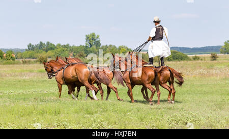 czikos Stock Photo