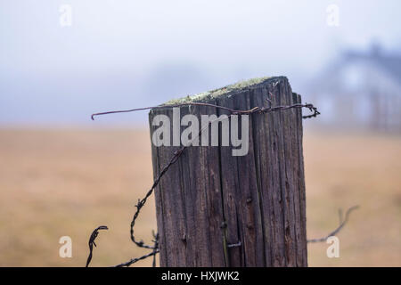 close up of fence post with barbed wire and moss Stock Photo