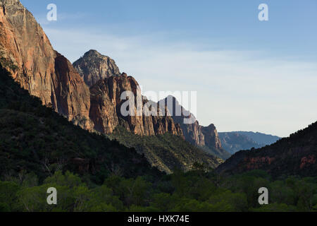 The Mountain Of The Sun in late afternoon light with a forest of trees in shade in foreground, Zion National Park, Utah Stock Photo