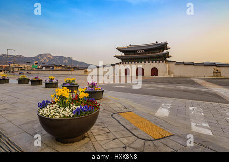 Spring in Seoul city at Gwanghwamun Gate, Seoul, South Korea Stock Photo