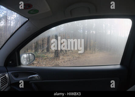 View of Forest Through Condensed Car Window Stock Photo