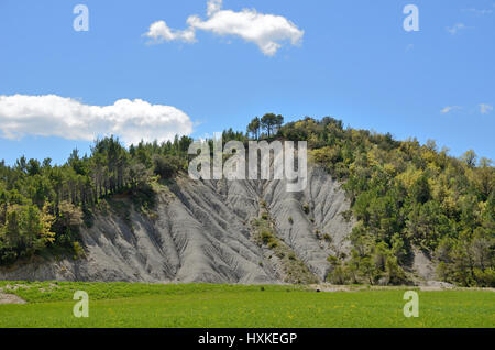 The schistose cliff is eroded and planted with pine woods in the Spanish region Navarra. This is unusual geological formation of metamorphic rock. Stock Photo