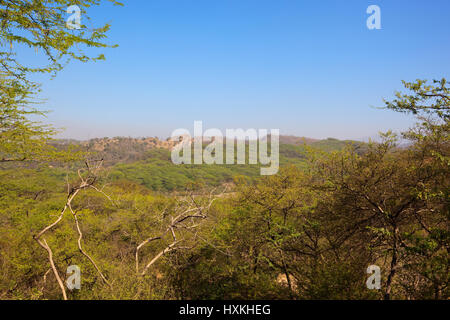 lush green acacia wooded landscape;of morni hills in chandigarh punjab india with sandy rock faces under a blue sky Stock Photo