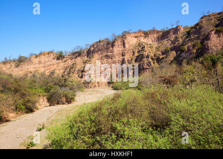 orange sandy rock faces and acacia woodland in the nature reserve of morni hills chandigarh india under a blue sky Stock Photo