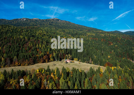 Mountain forest at the Panarotta in autumn, near Levico Therme, Valsugana, Trentino Province, Italy Stock Photo