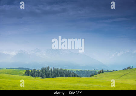 Kalajun grassland of Tekes County,Sinkiang,China Stock Photo