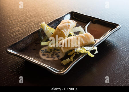 Fried spring rolls with vegetables, served on rectangular ceramic plate with dark background. Stock Photo