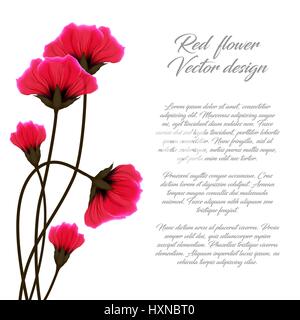 Vector red flower illustration isolated on white background. Poppies greeting card or invitation. Stock Vector