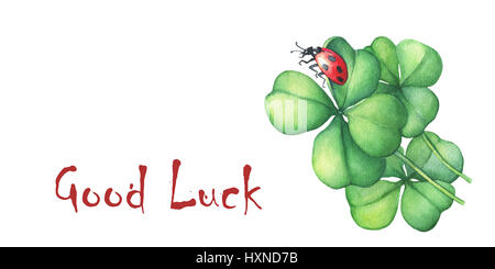 Ladybug sitting on a green four leaf clover. Good Luck. Hand drawn watercolor painting on white background. Stock Photo