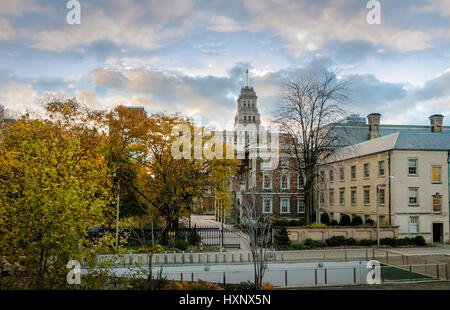 Buildings in Downtown Toronto with CN Tower and Autumn vegetation - Toronto, Ontario, Canada Stock Photo