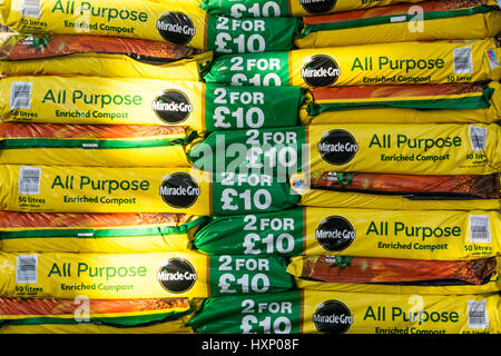 A stack of Miracle-Gro All Purpose Enriched Compost bags for sale in a garden centre. Stock Photo