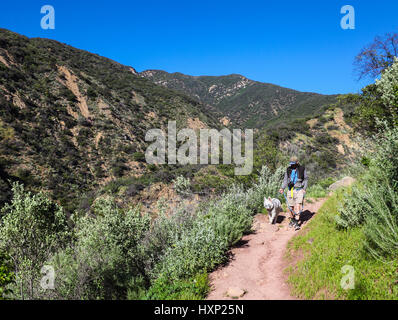 HIker and dog on the Cozy Dell Trail near Ojai, California Stock Photo