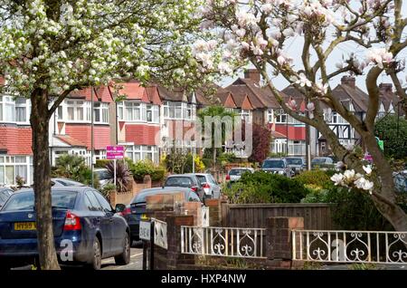 Semi Detached houses in Crane Way Whitton Twickenham west London UK Stock Photo