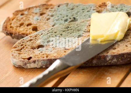 verrschimmeltes bread, verrschimmeltes Brot Stock Photo