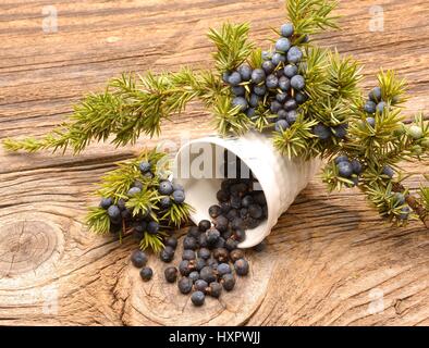 Juniper berries on a wooden background Stock Photo