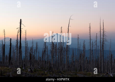 Mount Adams is seen from the slopes of Mount Hood, Oregon, United States. Stock Photo