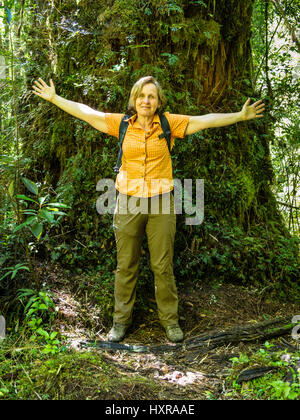 Woman in front of an alerce tree, alerce train, park Pumalin, Chaiten, region, Patagonia, Chile Stock Photo