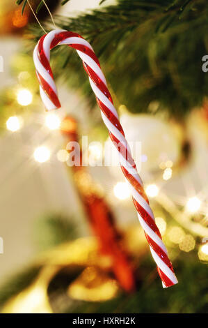 Stick of rock as a Christmas decoration in a Christmas tree, Zuckerstange als Weihnachtsschmuck an einem Weihnachtsbaum Stock Photo
