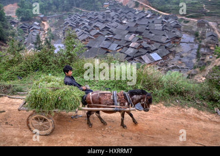 Zengchong Dong Village, Guizhou Province, China - April 11, 2010: Asian farmer carries hay in a cart pulled by a horse, returning from fieldwork. Stock Photo