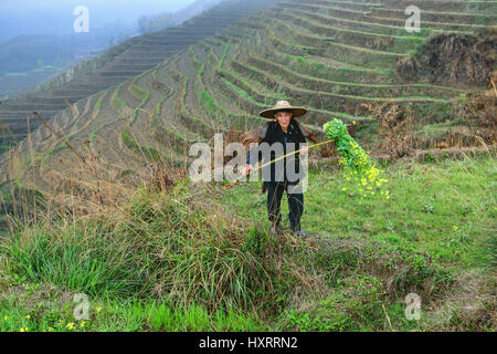 Yao Village Dazhai, Longsheng, Guangxi Province, China - April 3, 2010: Unknown elderly Asian peasant farmer in traditional Chinese hat and cape buffa Stock Photo