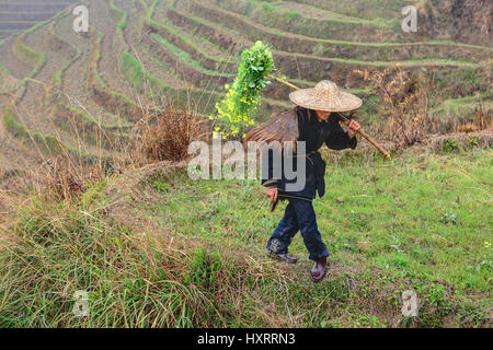 Yao Village Dazhai, Longsheng, Guangxi Province, China - April 3, 2010: Farmland in the countryside of southwestern China, the rice terraces of rice f Stock Photo